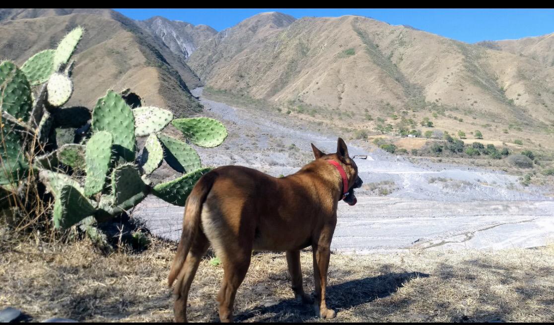 Imagen de publicación